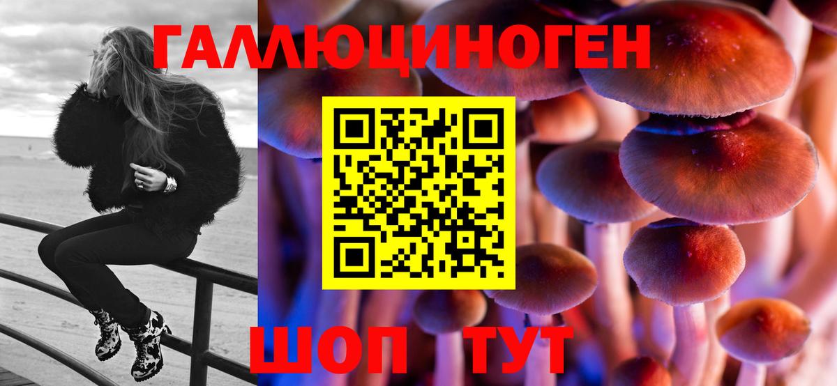 Десногорск  Галлюциногенные грибы ЛСД  Вход с VPN  Псилоцибиновые грибы мухоморы 